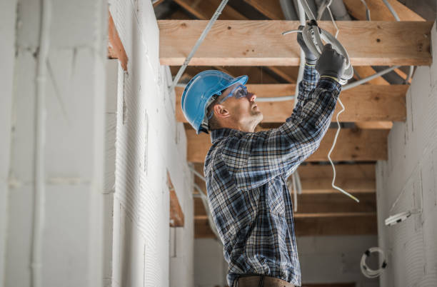 Best Electrical Repair Services  in Glespie, IL